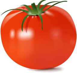 tomato