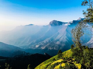 This beautiful landscape was captured in munnar during dawn.