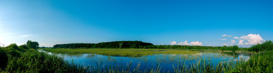 Panoramic landscape from the lake with colorful clouds in the summer sun.