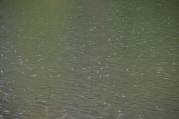 beautiful lake at sunset, the rays of the sun paint the water and small waves in gold, red, orange