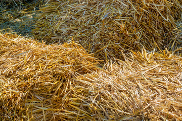 A stack of dry hay