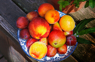 summer basket of fruits - pear, nectarine, plum and apricots on a wooden background in the rays of the early sun