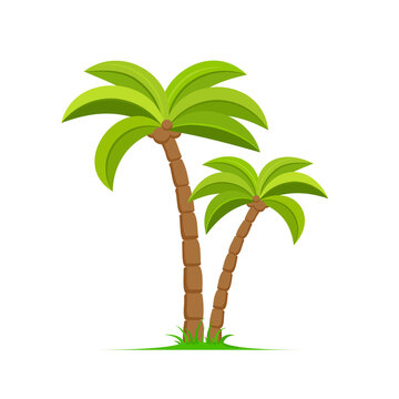 Palm tree vector island coconut cartoon icon. Palmtree island desert isolated tropical icon