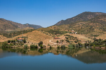 Beautiful Panoramic view of The Valley of the River Douro, Portugal - Port Wine Vineyards Region...