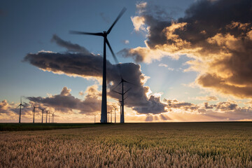 beautiful sunset sky over turbines and wheat sky