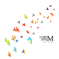 Bird watercolor. A flock of colorful birds. Mixed media. Vector illustration