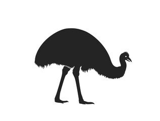 emu icon. side view. Australian logo symbol