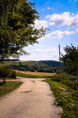 Tracks Through Countryside Yellow Cornfield on a Hill