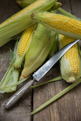 Ripe corn on an old wooden background