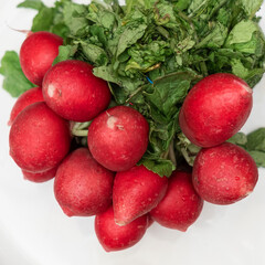 Fresh red radish crop close-up. Space for text. Design concept.