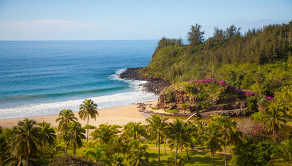 botanical gardens near Poipu, Kauai, Hawaii