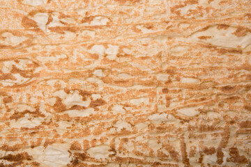 Lavash, thin bread texture close-up as background