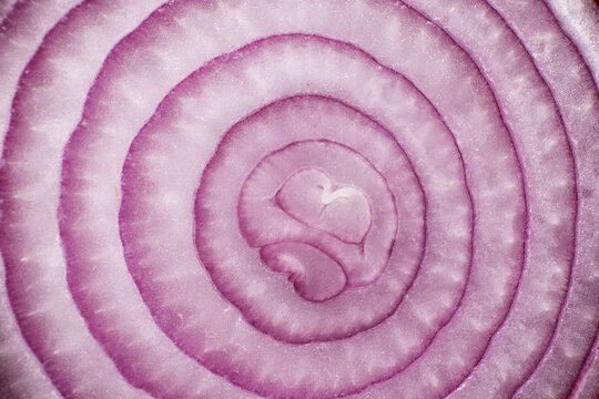 Red onion close-up as a background texture