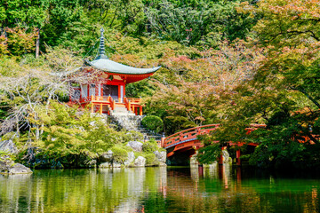 Fototapeta premium 京都 醍醐寺