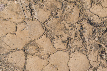 Fototapeta premium Extreme macro close up of surface Rock pattern. Stone texture and background. Rock Abstract Background
