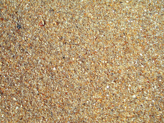 Background of sand of the Azov coast. Small parts of broken shells, glass, pebbles. View from above. Selective focus 