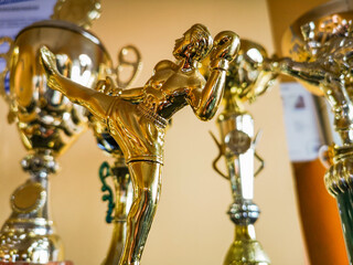 Golden statuettes, trophies and cups