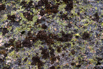 Extreme macro close up of surface Rock pattern. Stone texture and background. Rock Abstract Background