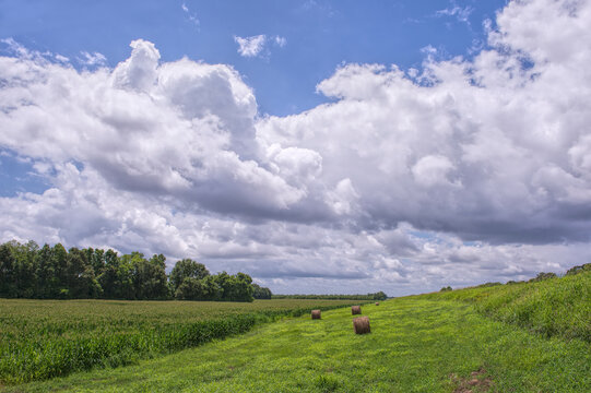 Bales Of Hay On A Louisiana Levee Under Cloudy Skies