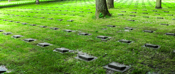 Obraz premium Gravestones in the Grass from WWII