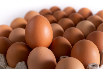 Egg upright on a full egg carton over a white background