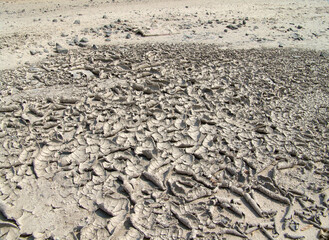 The texture of cracked clay.