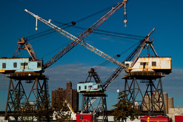 Dancing Crane with nyc background