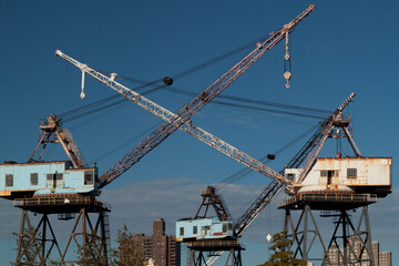 Dancing Crane with nyc background