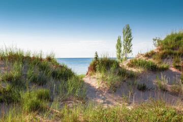 Beautiful day sunset landscape at Canadian Ontario lake Huron in national Pinery Park. Sand dunes and green grass with walk way path to lake. Amazing summer nature view on the beach outdoor. © anoushkatoronto