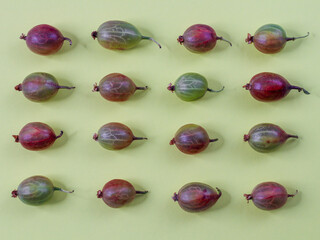 The gooseberry lies in four rows against a pale green background in the form of an ornament, a close-up view from above.