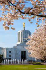 The Oregon State Capitol building in Salem with flowering cherry trees in bloom