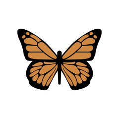 Butterfly vector. Icon illustration.