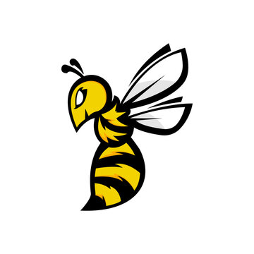 Bee vector. Icon logo illustration.
