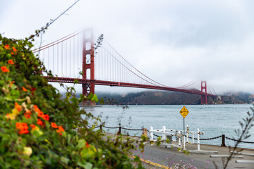 famous red suspension bridge in a city with low clouds and flowers in the foreground