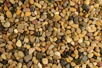 Washed River Stones