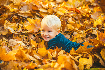 Autumn child have fun and lying on fallen golden leaves, leaf fall.