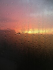 Pattern of dew with sunrise in background