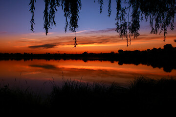 Fototapeta na wymiar Symmetry of the sky in a lake at sunrise. Clouds reflecting on the water. Holiday landscape by the sea. Quiet relaxing scene with a beautiful colorful sky. Silhouette of weeping willow.
