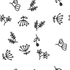 Wildflower Natural Vector Seamless Pattern Thin Line Illustration