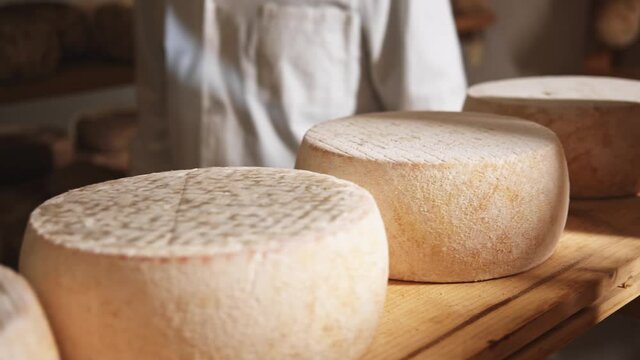 Farmer hands in gloves turning over fresh organic cheese wheel (round) at manufacturing. Close-up Macro view. Dairy products store business. Milky country farm. Warm sunshine on background. 4K