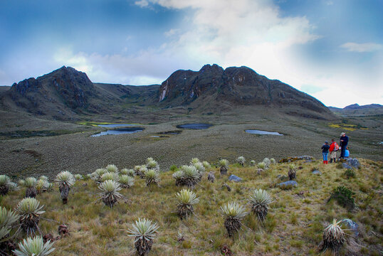 Paisaje p&aacute;ramo de Sumapaz, Colombia