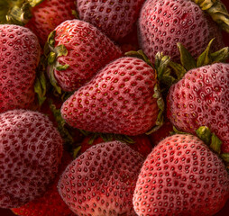 Close up full screen image of fresh frosted strawberries.