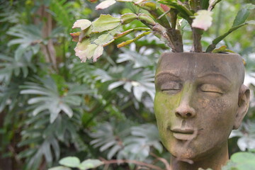 Obraz premium zen face flower pot