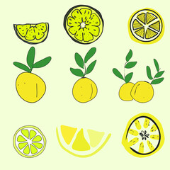 Set of 9 lemons, isolated with white background. Vector Illustration yellow citrus lime