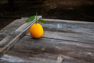Orange fruit solo on top of a wooden crate.