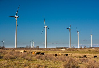 Wind power generators on a cattle ranch in northern Oklahoma.
