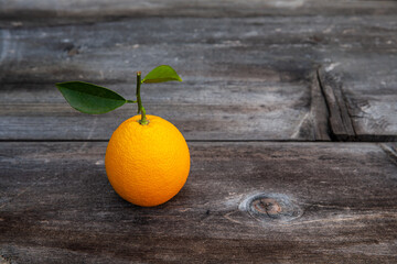 Orange fruit isolated on top of a wood textured table top. 