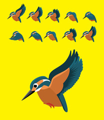 Animal Animation Sequence Common Kingfisher Flying Cartoon Vector