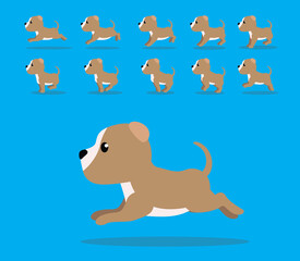 Animal Animation Sequence Dog Staffordshire Terrier Cartoon Vector