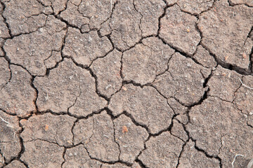background of cracked dry soil closeup.